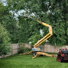 Best Sod Installation  in Blaine, MN